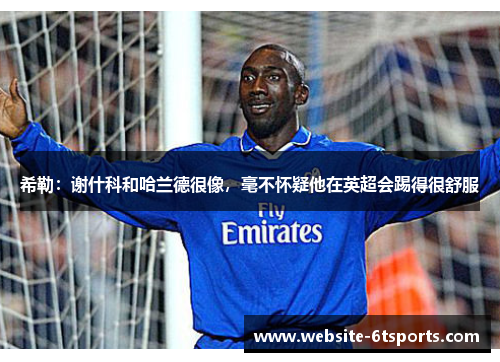 希勒：谢什科和哈兰德很像，毫不怀疑他在英超会踢得很舒服